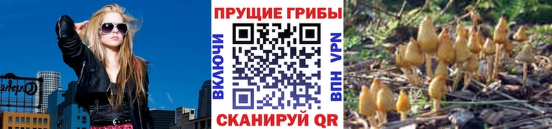 Галлюциногенные грибы GOLDEN TEACHER  Буй 