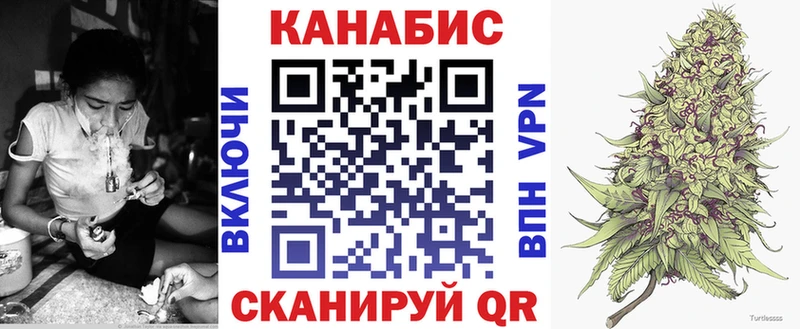 Конопля сатива  Буй 